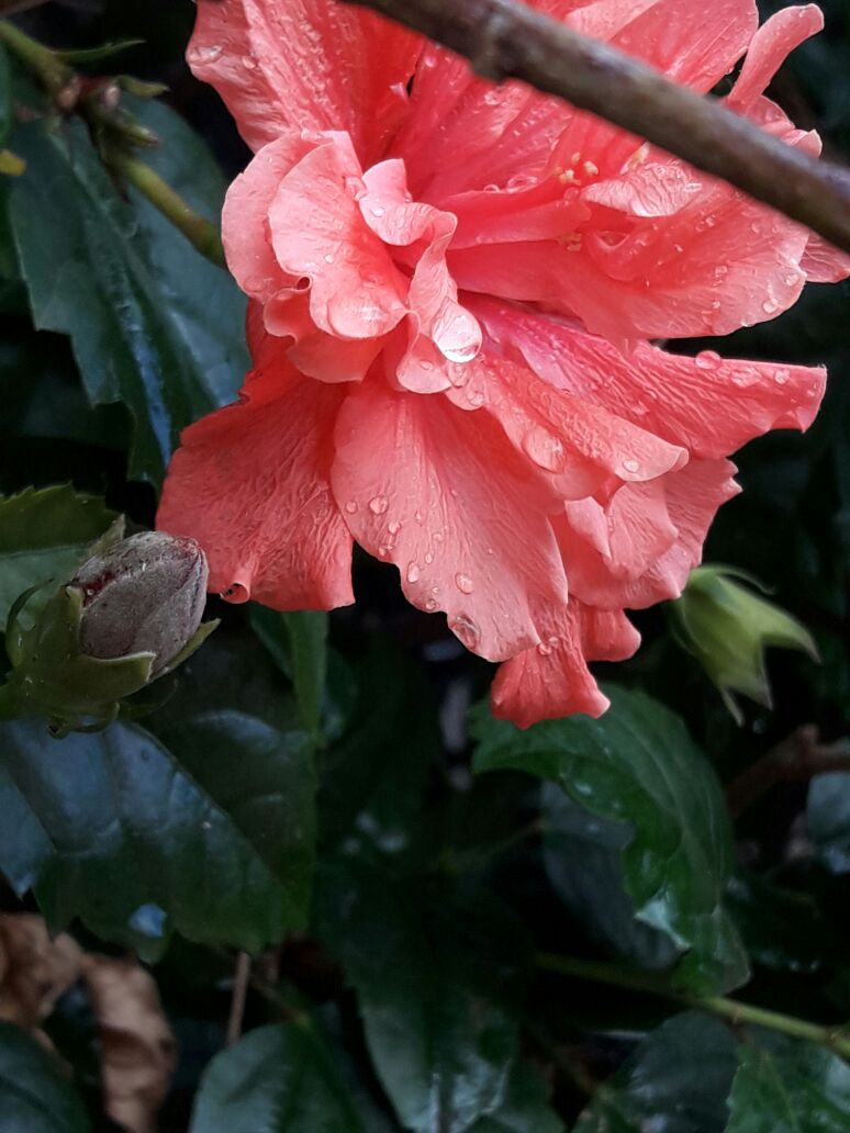 אמירים- Earth Art צילומי טבע by eti akrish - Illustrated by תלמידי אמירים שכבה ה - Ourboox.com