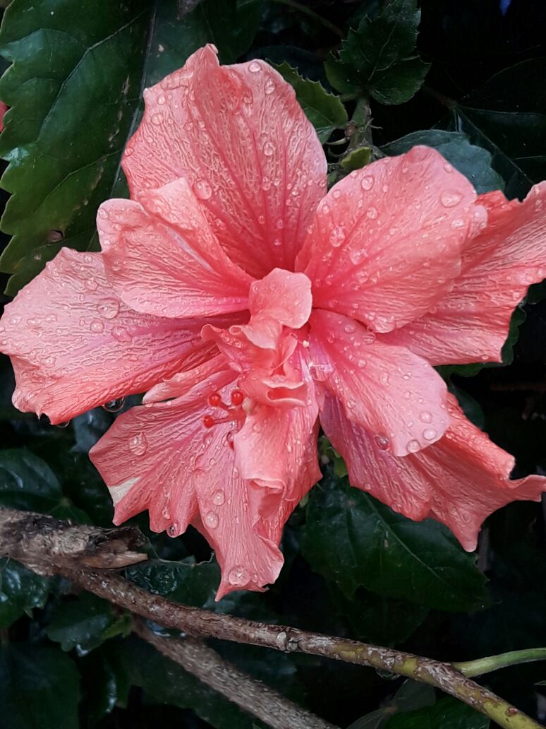 אמירים- Earth Art צילומי טבע by eti akrish - Illustrated by תלמידי אמירים שכבה ה - Ourboox.com