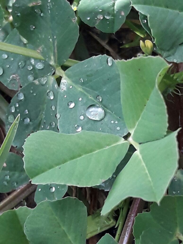 אמירים- Earth Art צילומי טבע by eti akrish - Illustrated by תלמידי אמירים שכבה ה - Ourboox.com