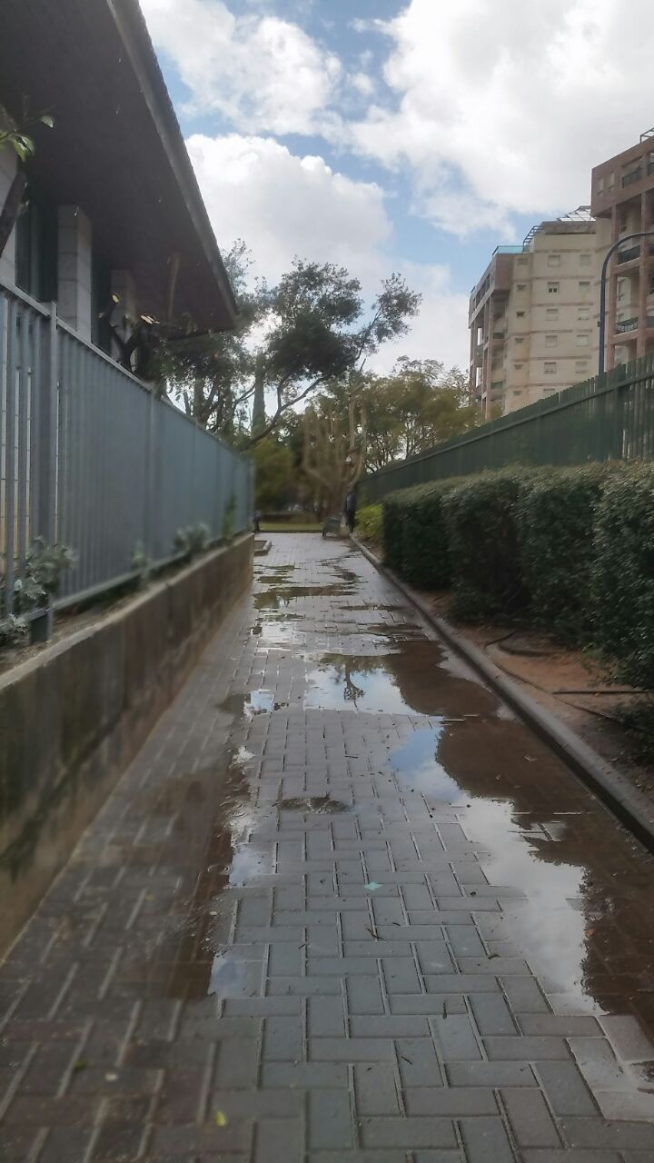 אמירים- Earth Art צילומי טבע by eti akrish - Illustrated by תלמידי אמירים שכבה ה - Ourboox.com