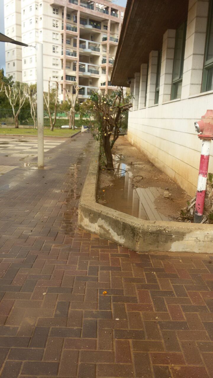 אמירים- Earth Art צילומי טבע by eti akrish - Illustrated by תלמידי אמירים שכבה ה - Ourboox.com