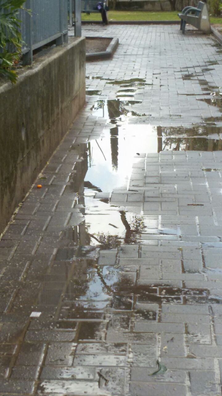 אמירים- Earth Art צילומי טבע by eti akrish - Illustrated by תלמידי אמירים שכבה ה - Ourboox.com