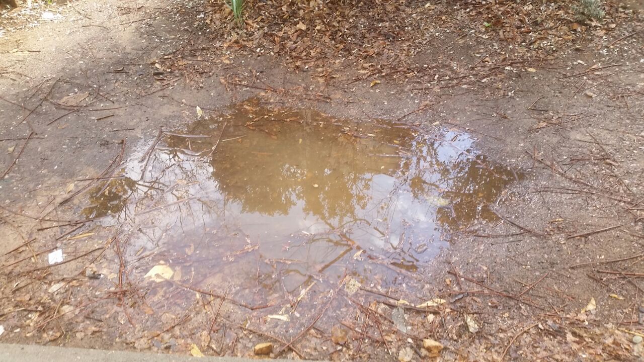 אמירים- Earth Art צילומי טבע by eti akrish - Illustrated by תלמידי אמירים שכבה ה - Ourboox.com