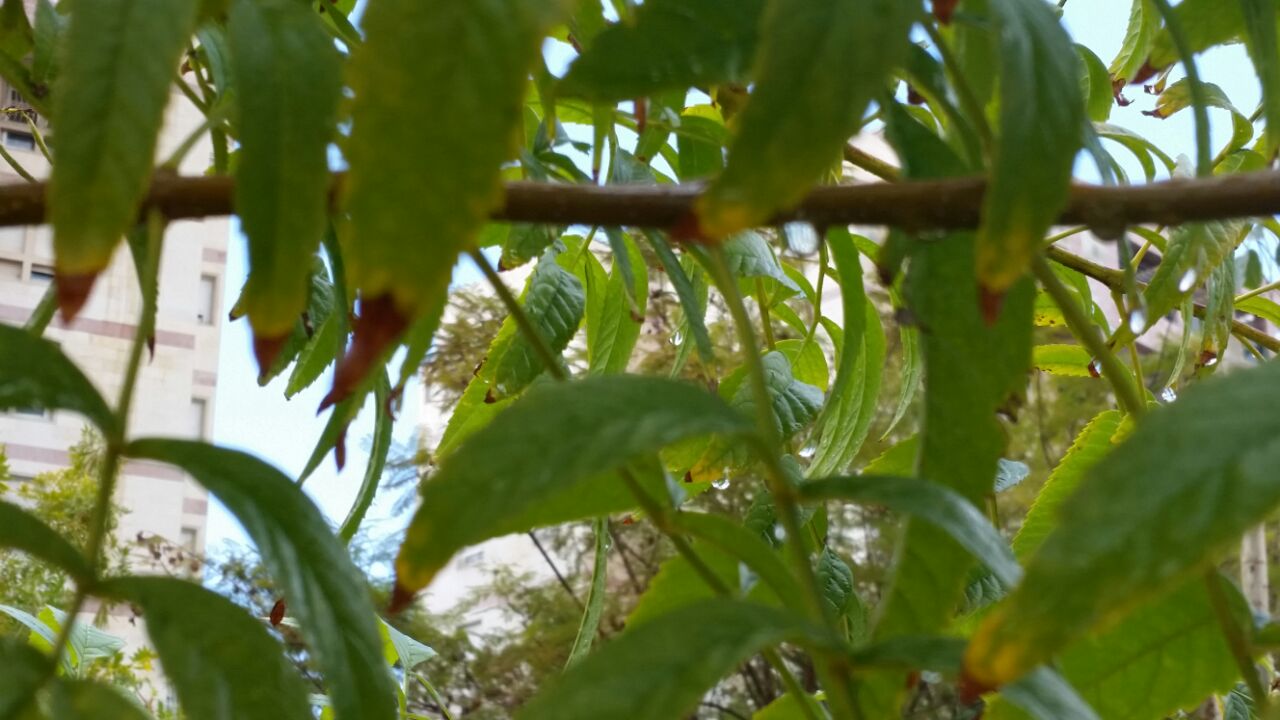 אמירים- Earth Art צילומי טבע by eti akrish - Illustrated by תלמידי אמירים שכבה ה - Ourboox.com