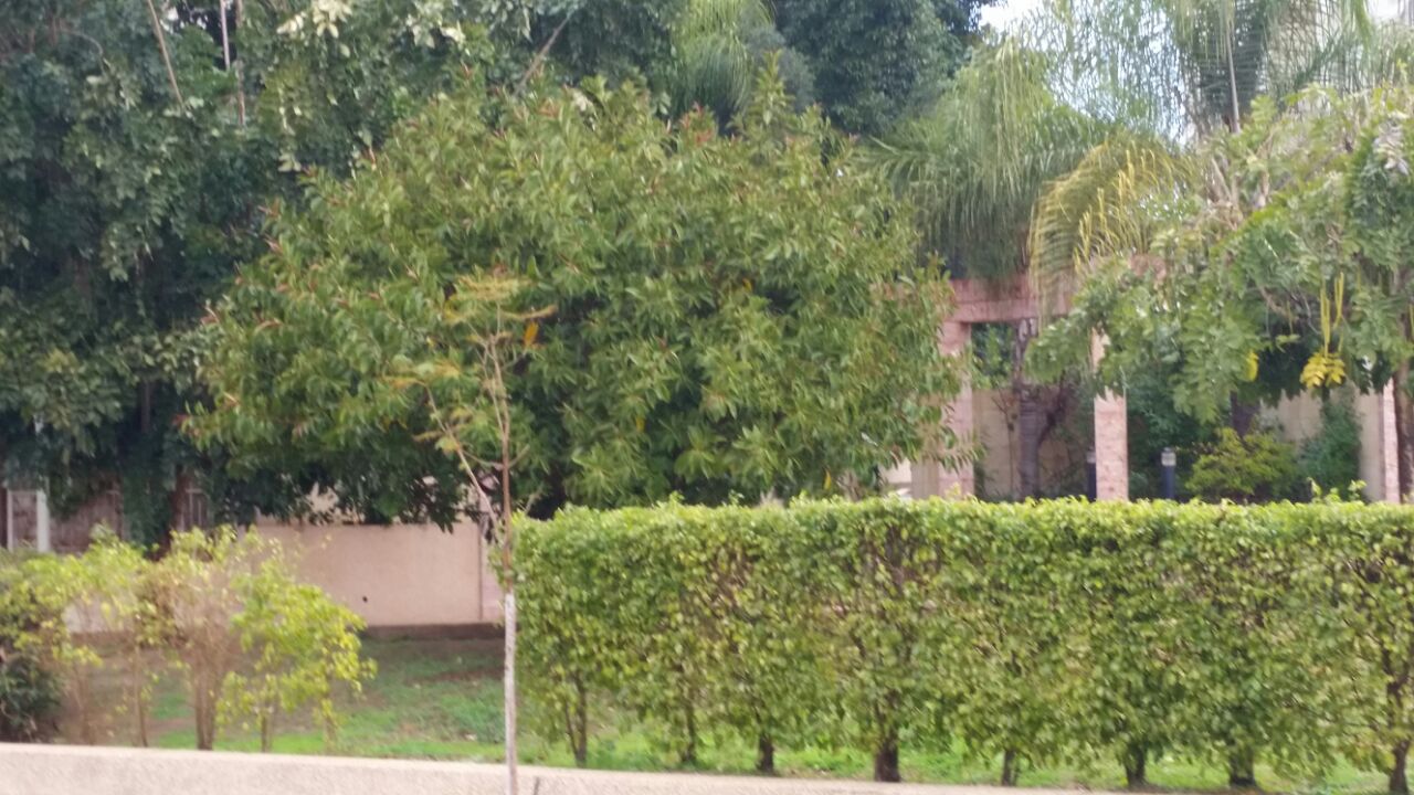 אמירים- Earth Art צילומי טבע by eti akrish - Illustrated by תלמידי אמירים שכבה ה - Ourboox.com