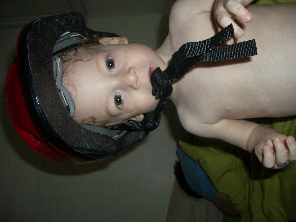 עבודת שורשים by ido - Ourboox.com