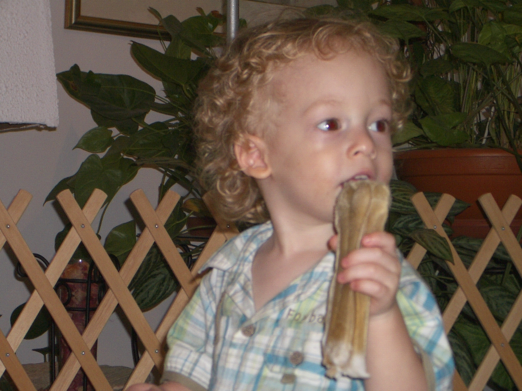 עבודת שורשים by ido - Ourboox.com