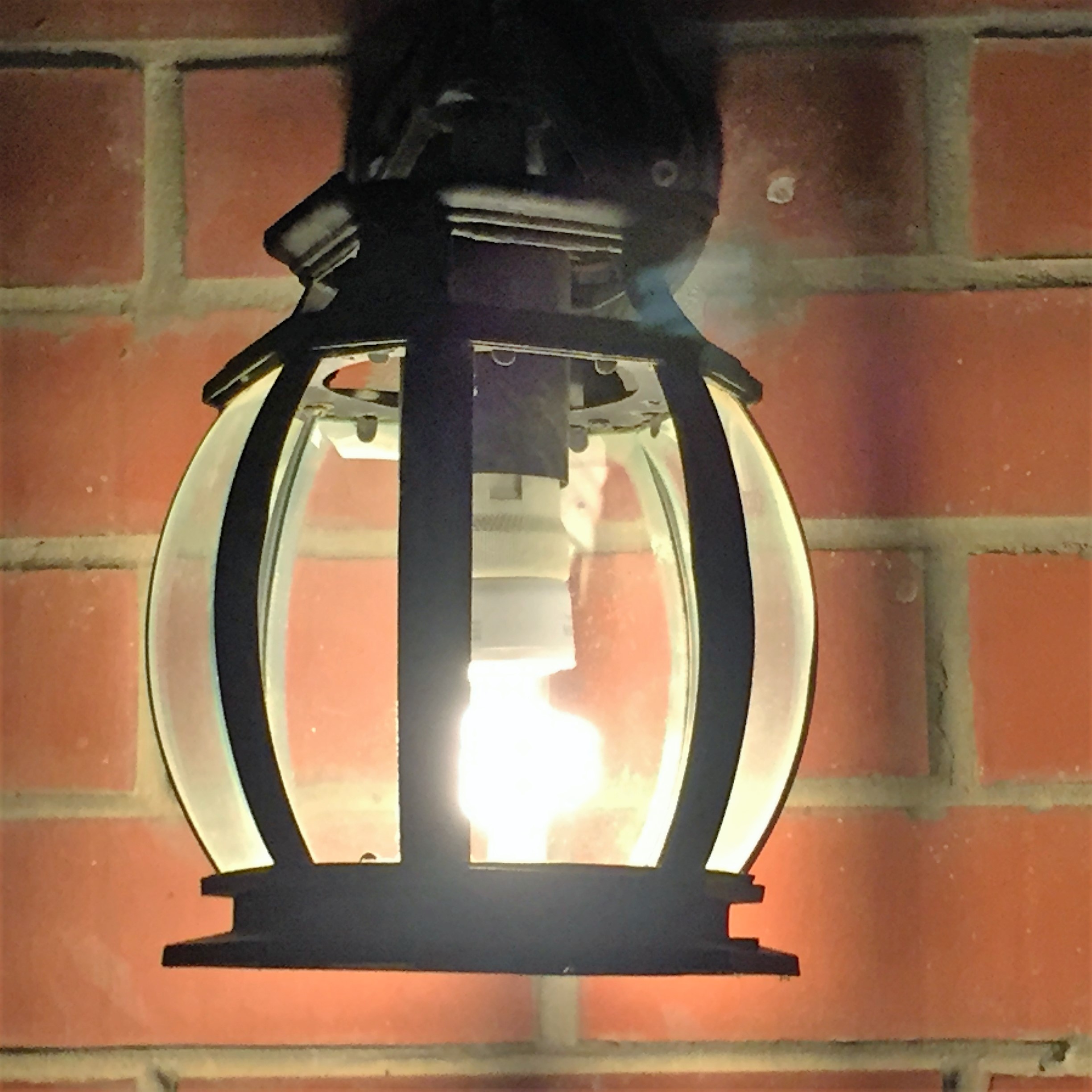 Shlomi by Night by Mel Rosenberg - מל רוזנברג - Ourboox.com