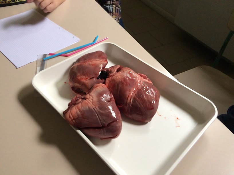 Quell’anno, facendo Scienze… by Alessandro Bettini - Illustrated by Christian Bernardi - Ourboox.com