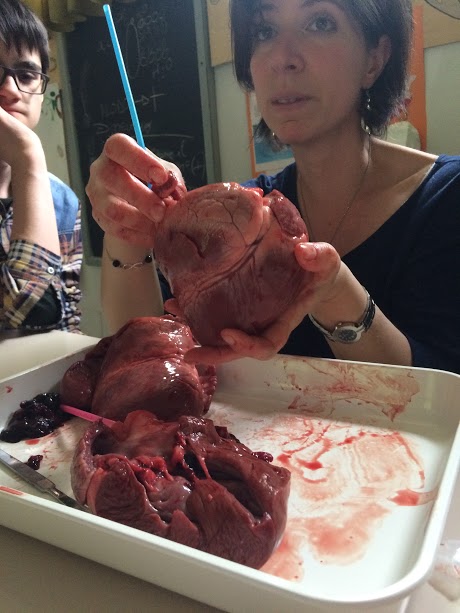 Quell’anno, facendo Scienze… by Alessandro Bettini - Illustrated by Christian Bernardi - Ourboox.com