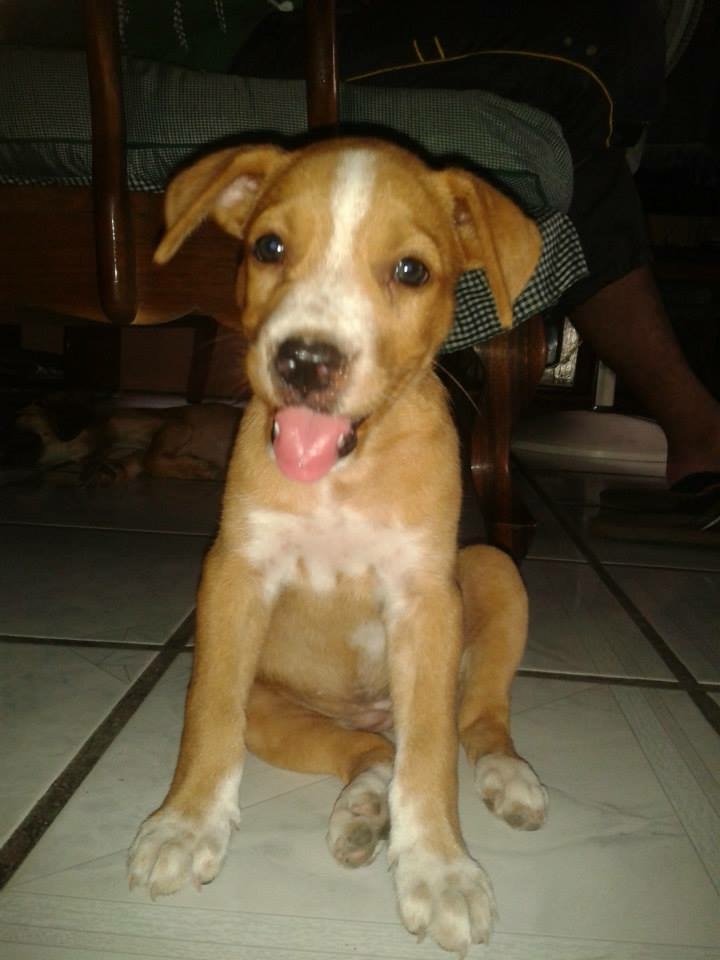 My Life by Ana Vega - Ourboox.com