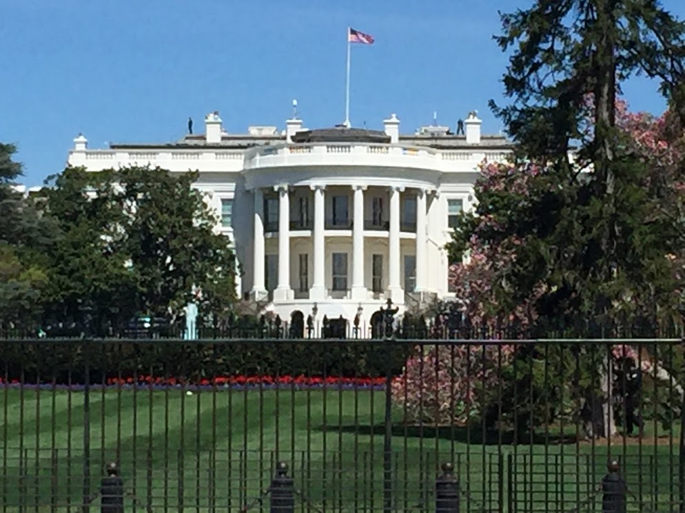 Passover Vacation by almakaufman  - Illustrated by alma kaufman - Ourboox.com