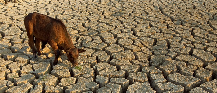 doğal afetler by hülya - Ourboox.com