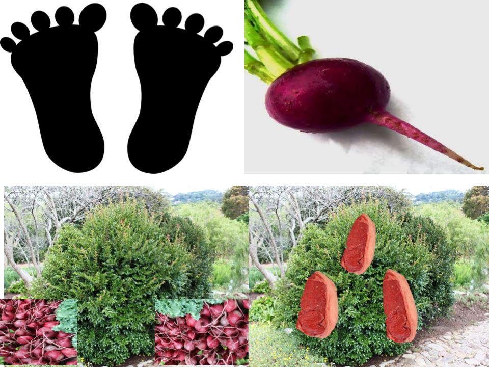 Martina’s Poetry Book by Martina Zupanoski - Illustrated by Martina Zupanoski - Ourboox.com