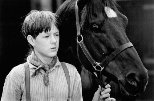 black beauty by Anna Sewell - Illustrated by Adan Jamamaa - Ourboox.com