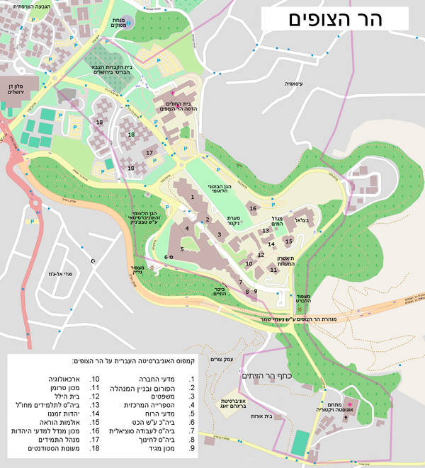 הר הצופים by מיכל עמית בת שחר ומאיה - Ourboox.com