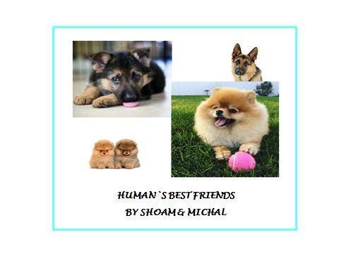 HUMAN’S BEST FRIEND by shoammichal - Ourboox.com