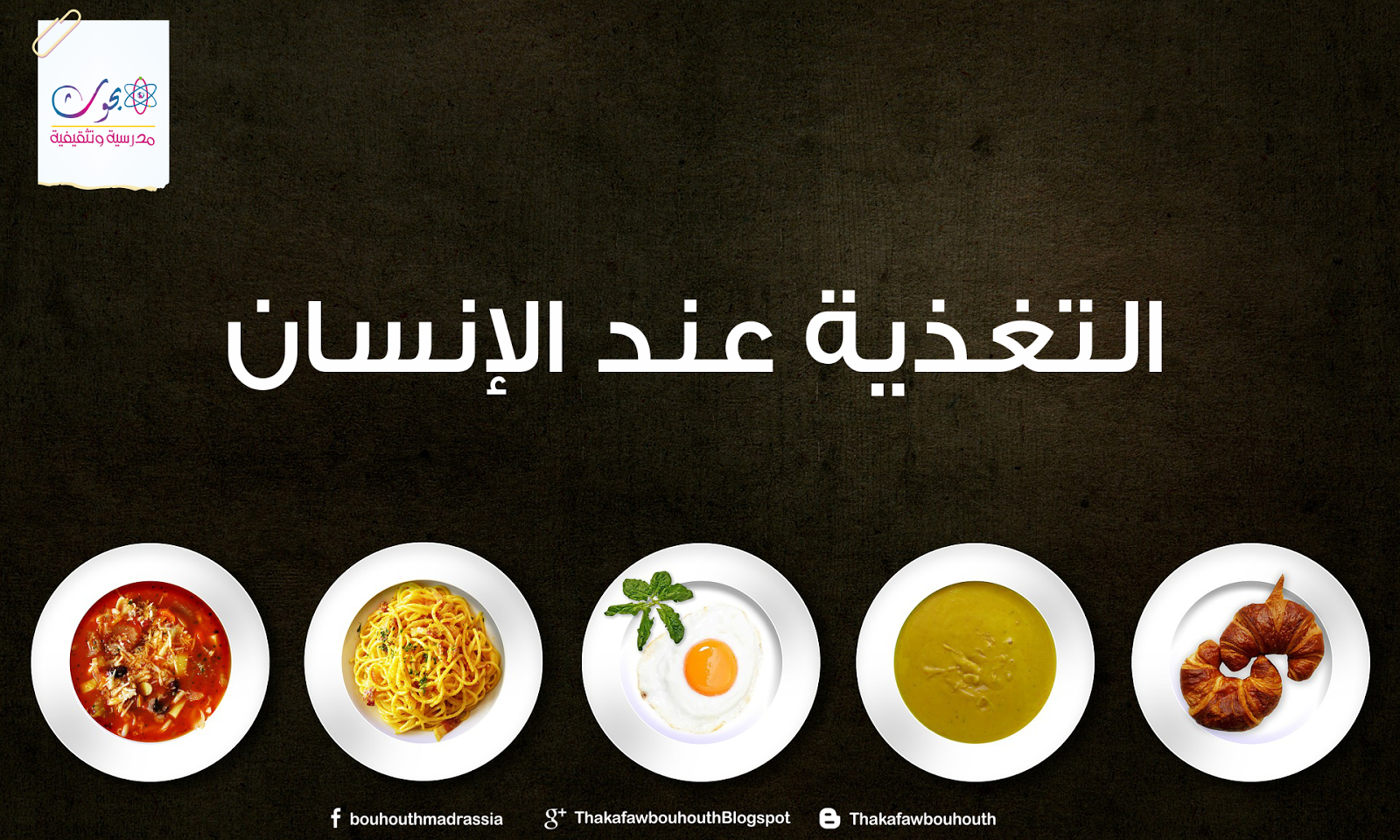 التغذية عند الانسان by ammar ezzine - Ourboox.com