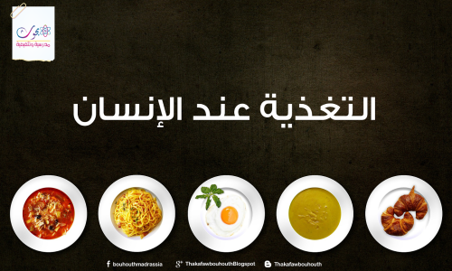 التغذية عند الانسان by ammar ezzine - Ourboox.com