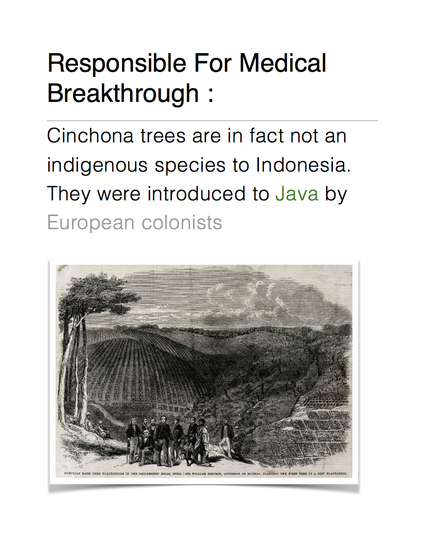 CinchonaTree by Jordana Weinberger - Ourboox.com