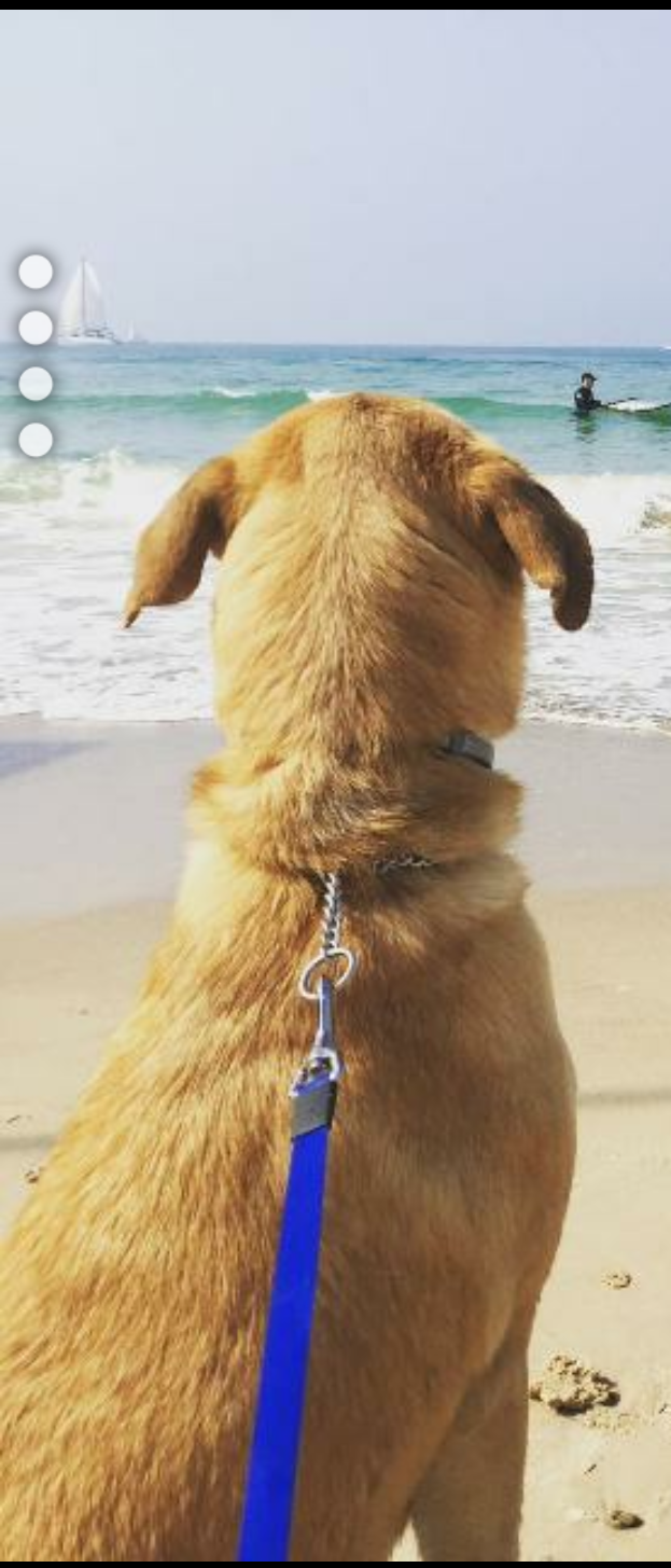 أَنا وَعائِلَتِي by שגב וגיא - Ourboox.com