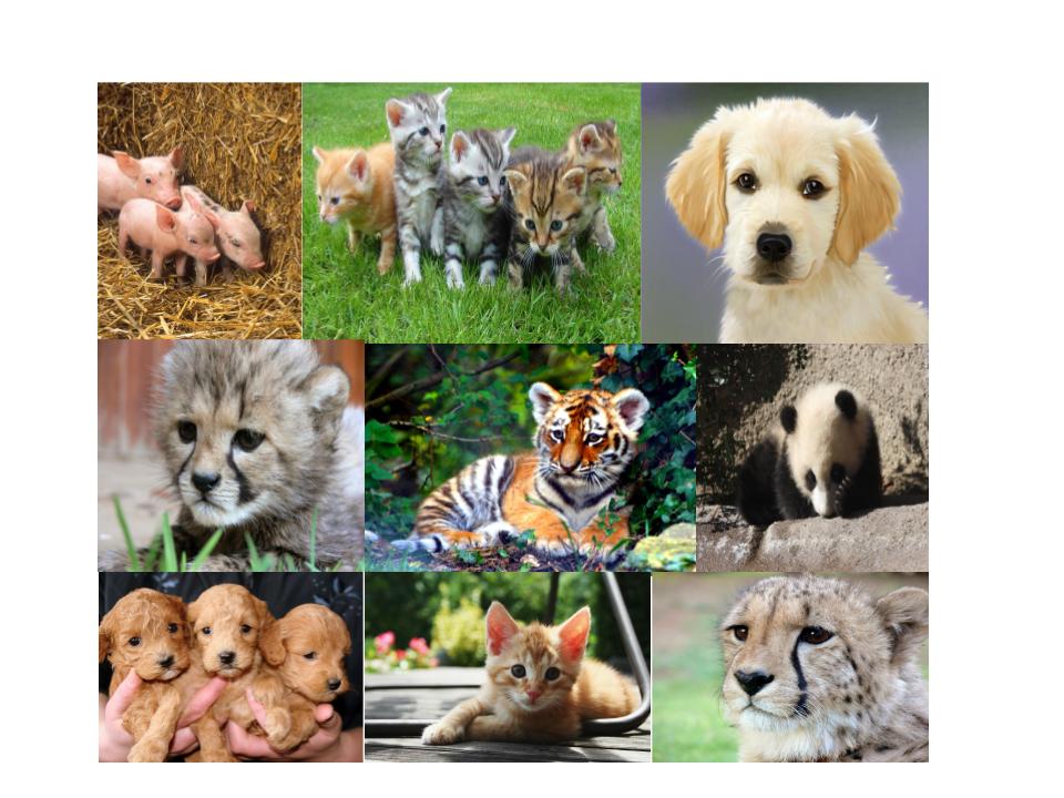 Leah Espiritusanto Poetry Book by Leah Espiritusanto - Illustrated by Leah Espiritusanto - Ourboox.com