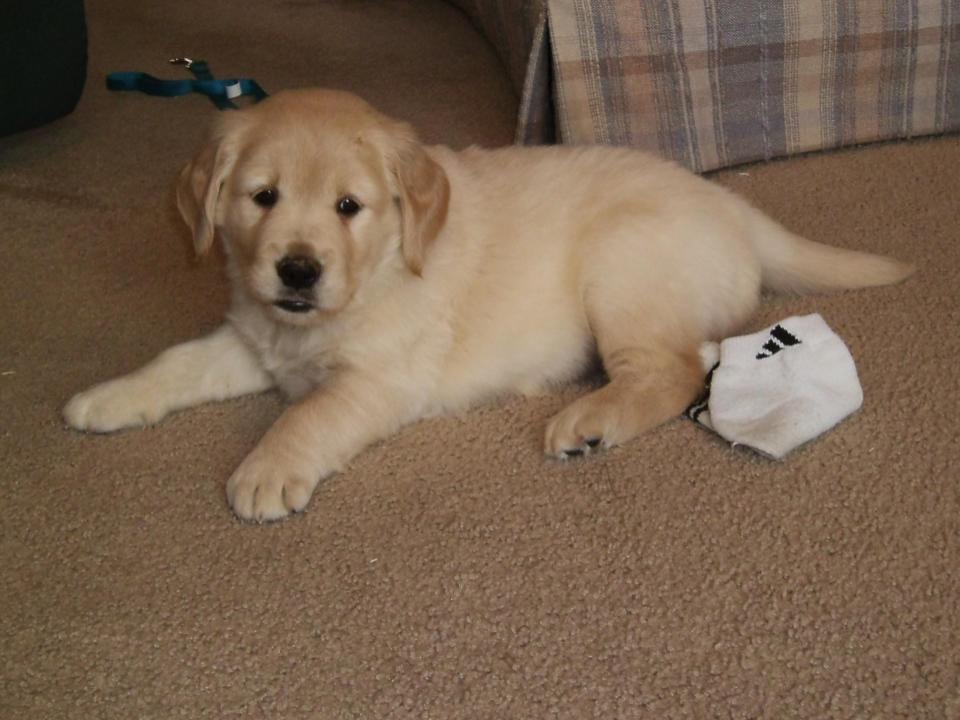 Leah Espiritusanto Poetry Book by Leah Espiritusanto - Illustrated by Leah Espiritusanto - Ourboox.com