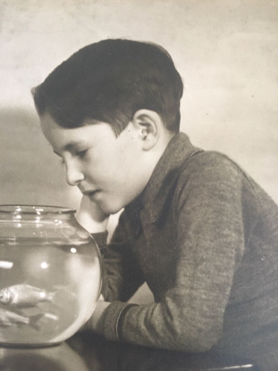 עבודת השורשים של משפחת טופז by Liat Topaz - Illustrated by ליאת טופז - Ourboox.com