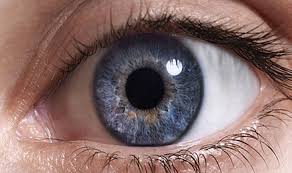 العين by mohamed mhamdi - Illustrated by محمد المحمدي - Ourboox.com