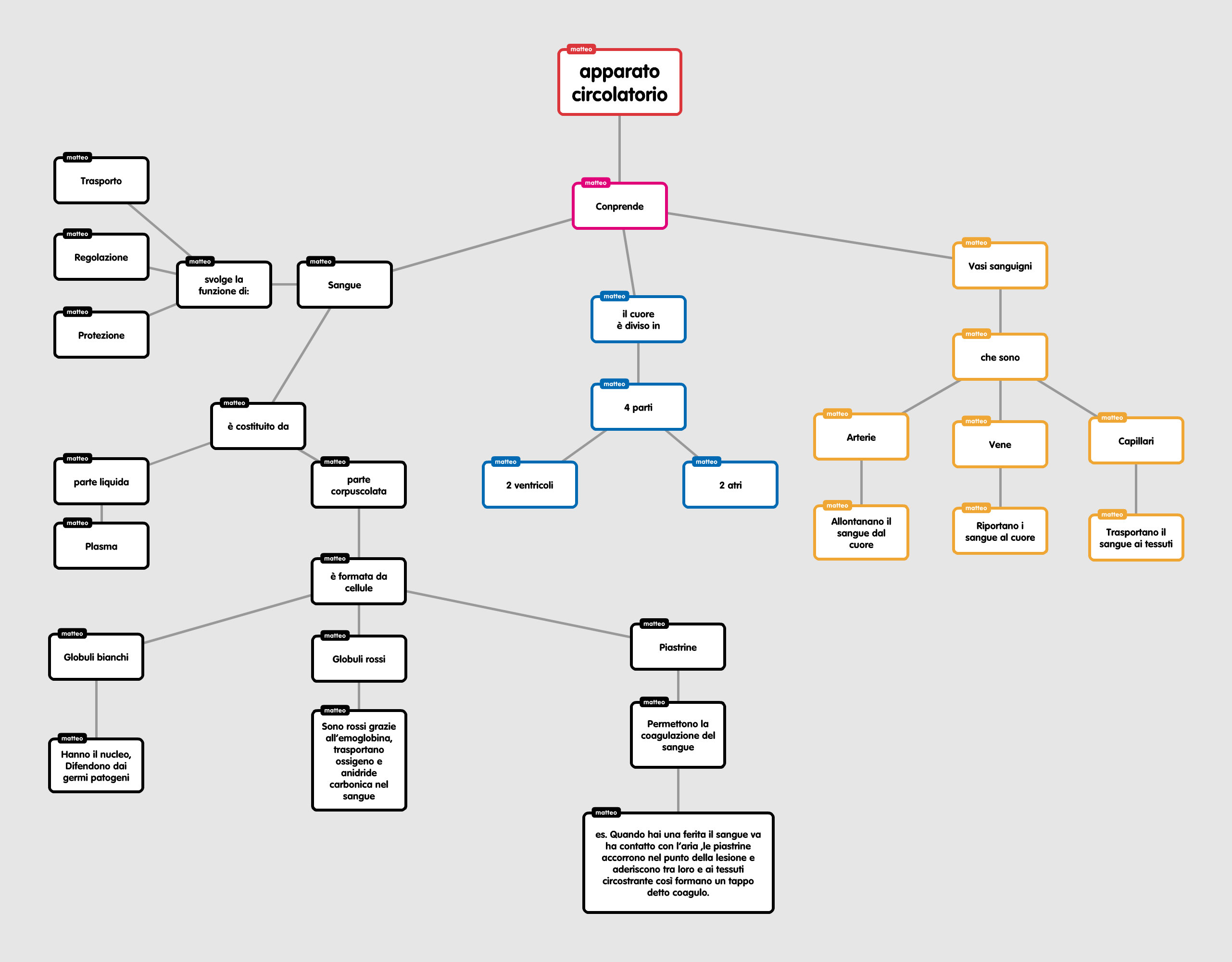 L’anatomia in 2A by Eleonora - Illustrated by Chiara Savoia - Ourboox.com