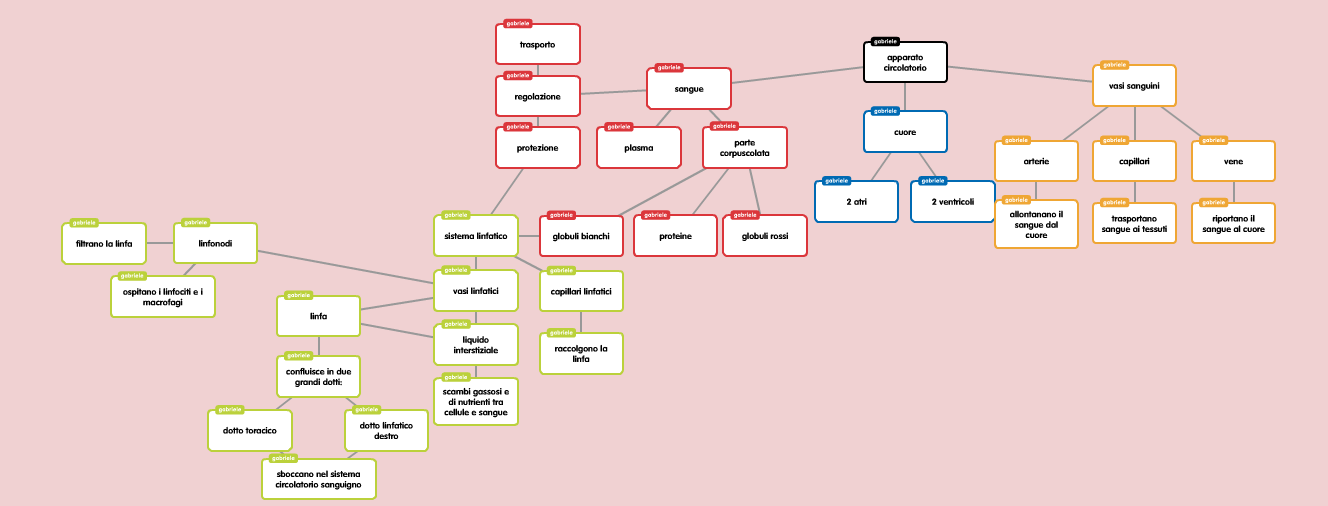 Il corpo umano by Riccardo - Illustrated by Riccardo Hysi, Gabriele Chiti - Ourboox.com