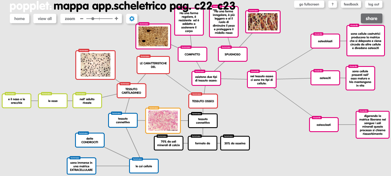 Il corpo umano by Riccardo - Illustrated by Riccardo Hysi, Gabriele Chiti - Ourboox.com