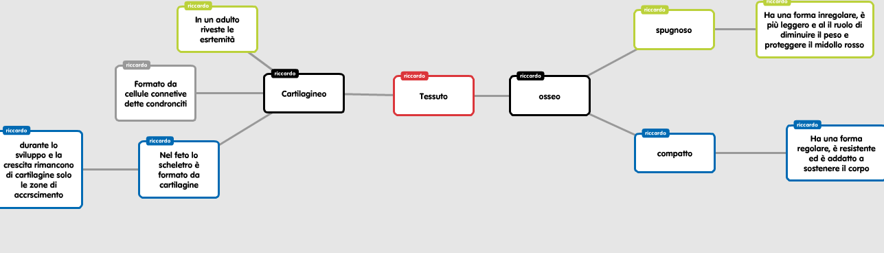 Il corpo umano by Riccardo - Illustrated by Riccardo Hysi, Gabriele Chiti - Ourboox.com