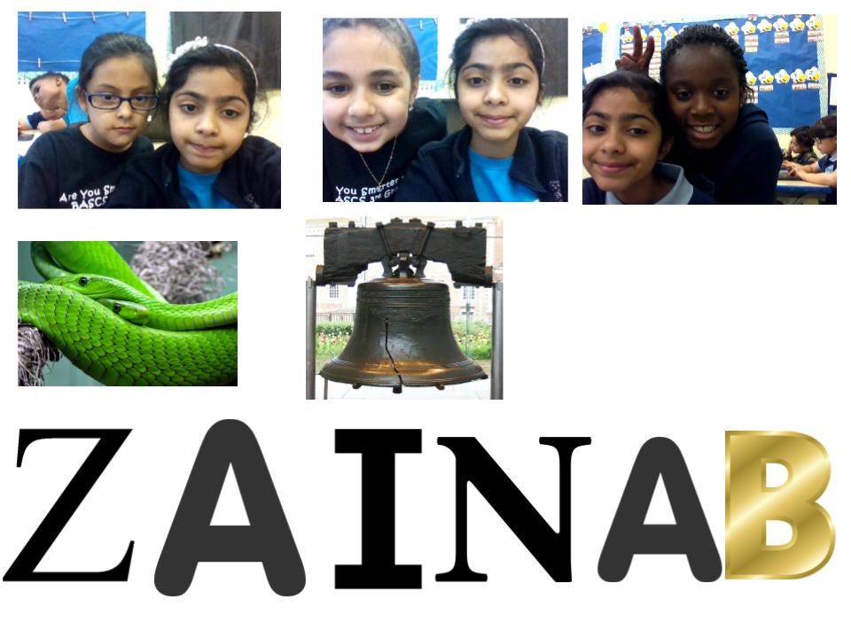 Zainab’s Poetry Books. by Zainab Chaudhry - Ourboox.com