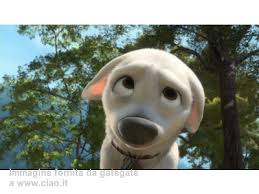 IL CANE BOLT by Gaia Campisi - Ourboox.com