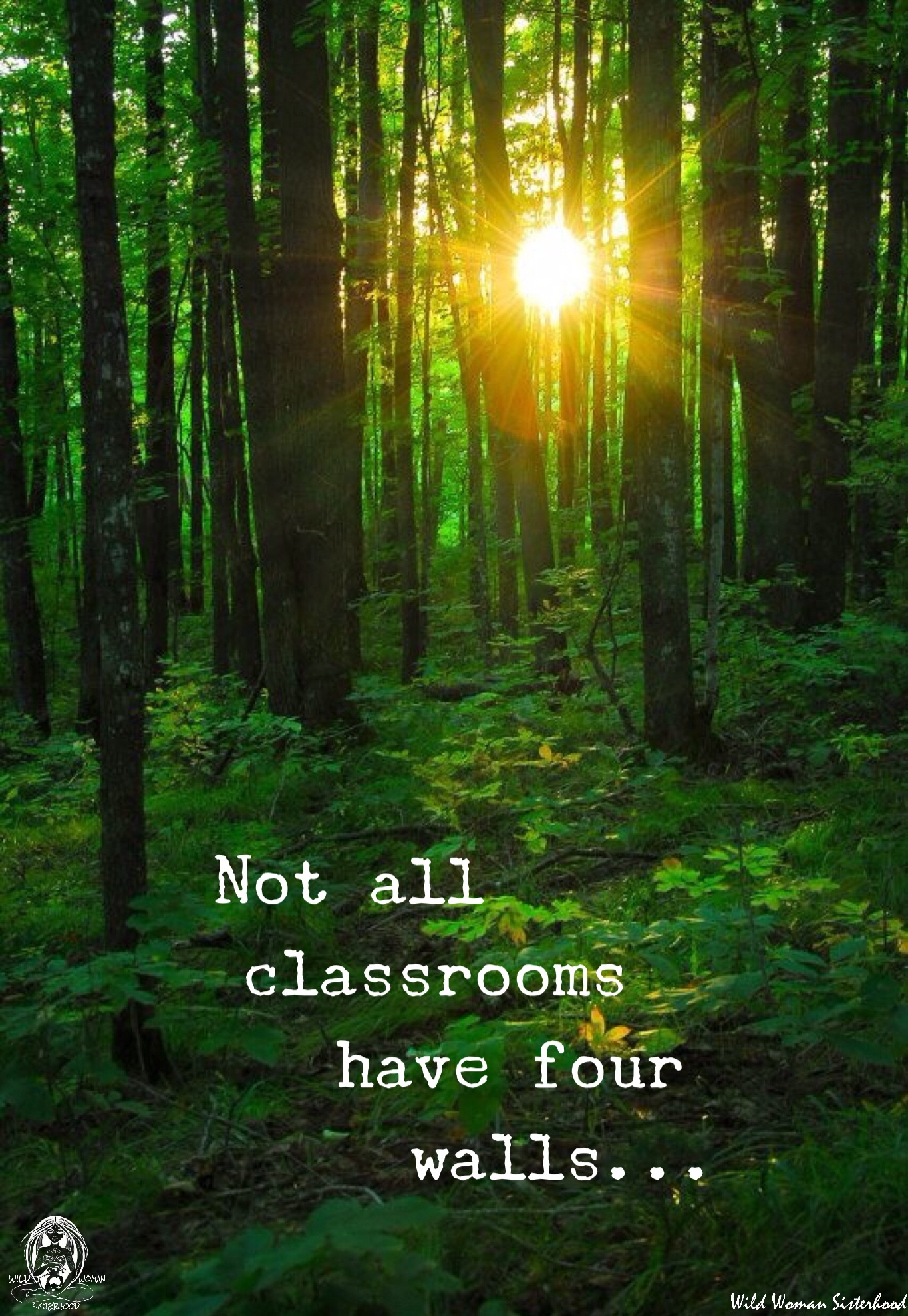 The Story of the Travelling Teacher by Alon Yo - Ourboox.com