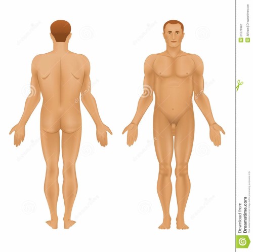 Il corpo umano by Riccardo - Illustrated by Riccardo Hysi, Gabriele Chiti - Ourboox.com