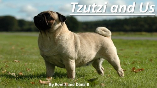 Tzutzi and Us by Roni and Dana - Illustrated by Roni Shadmi & Dana Ben Tzvi - Ourboox.com