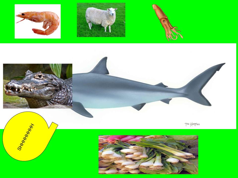 Tatiana’s Poetry Book by Tatiana Ortiz - Illustrated by Tatiana - Ourboox.com