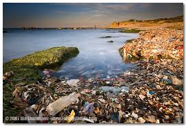 זיהום חופי הים בישראל by avishay - Ourboox.com