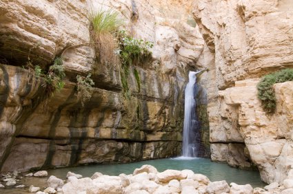 בקע ים המלח by vav - Illustrated by עורכים : עדי,הדר,אלינה,בנימין,רפאל ודניאל ס - Ourboox.com