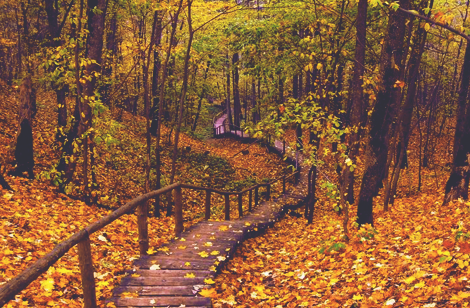 الفصول الاربعة… by shahd barq - Illustrated by shahd barq - Ourboox.com