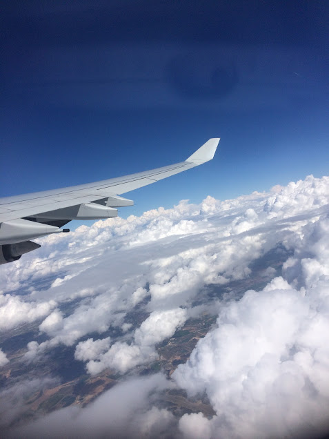 Passover Vacation by almakaufman  - Illustrated by alma kaufman - Ourboox.com