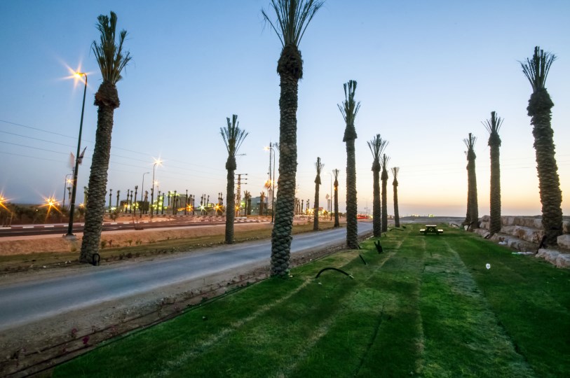 נגב by vav - Illustrated by .אדל+אלירן, יוליאנה, קרן, אלמוג, גיא+מקסים, עדן - Ourboox.com