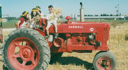 שבועות by shoogy - Ourboox.com