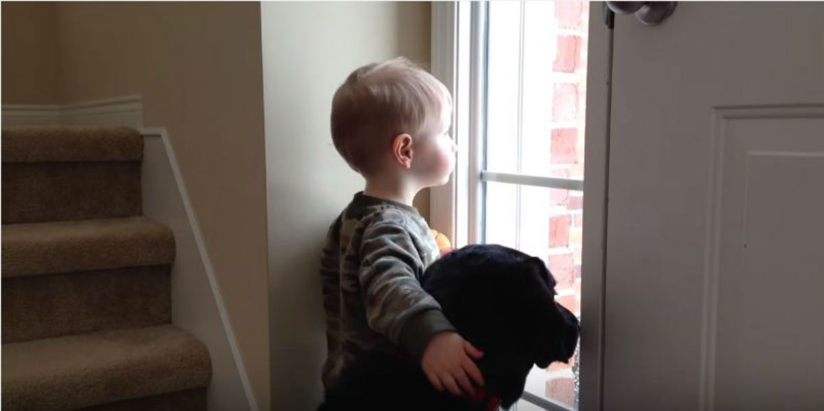 Man’s Best Friend by niki motilev - Ourboox.com