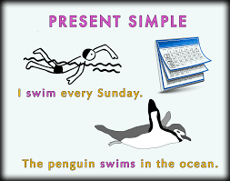 Present Simple by Shirley Alum - Ourboox.com