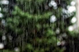 אילן רמון by eitan drgonsky - Ourboox.com