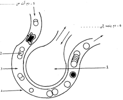 التنفس by mahmoud - Ourboox.com