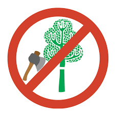 Huda Naser Mosa by fifth grade - Ourboox.com